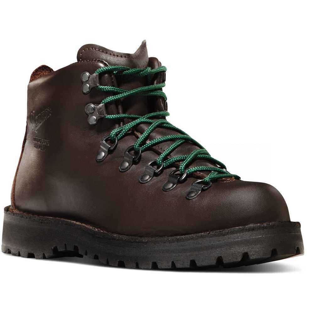 danner mountain lite 2