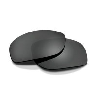 Линзы темно-серые Wiley X VALOR 2.5mm Smoke Grey Lens - CHVALS