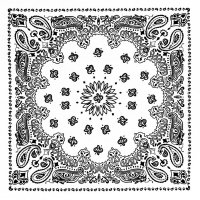 Бандана Rothco Trainmen White