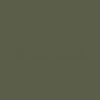 Бандана Rothco Olive Drab
