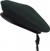 Берет армейский G.I. Type Green